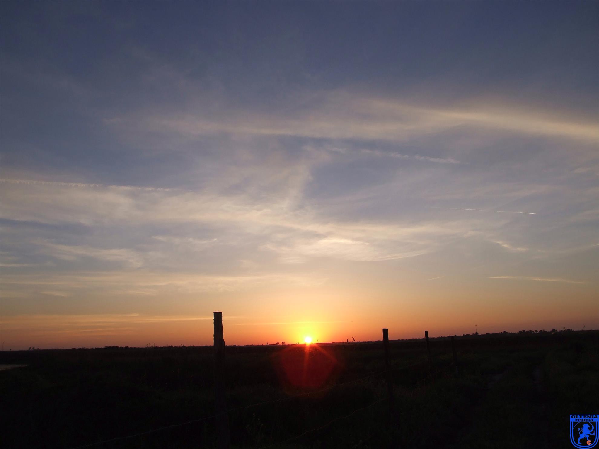 2013 - 2 - image1111111111111111111111.jpg